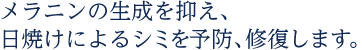メラニンの生成を抑え、日焼けによるシミを予防、修復します。