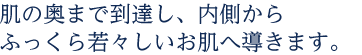 肌の奥まで到達し、内側からふっくら若々しいお肌へ導きます。