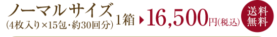 ノーマルサイズ（4枚入り×15包・約30回分）16,200円（税込）