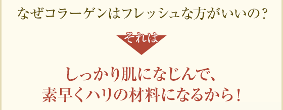 なぜコラーゲンはフレッシュな方がいいの？それはしっかり肌になじんで、素早くハリの材料になるから！